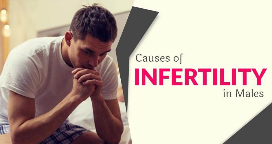 Symptoms And Causes Of Infertility In Men World Controversy 
